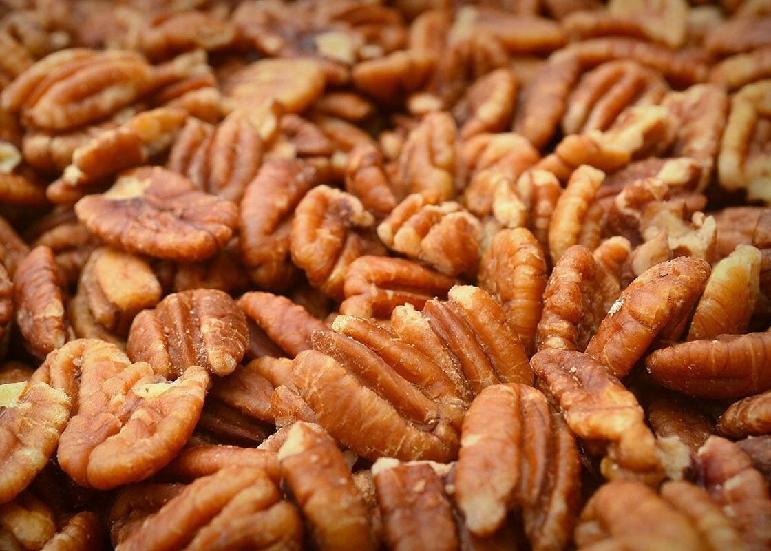 Unsalted Sprouted Texas Native Pecans-Raw, Unpasteurized, Unsprayed and Wild-Harvested.