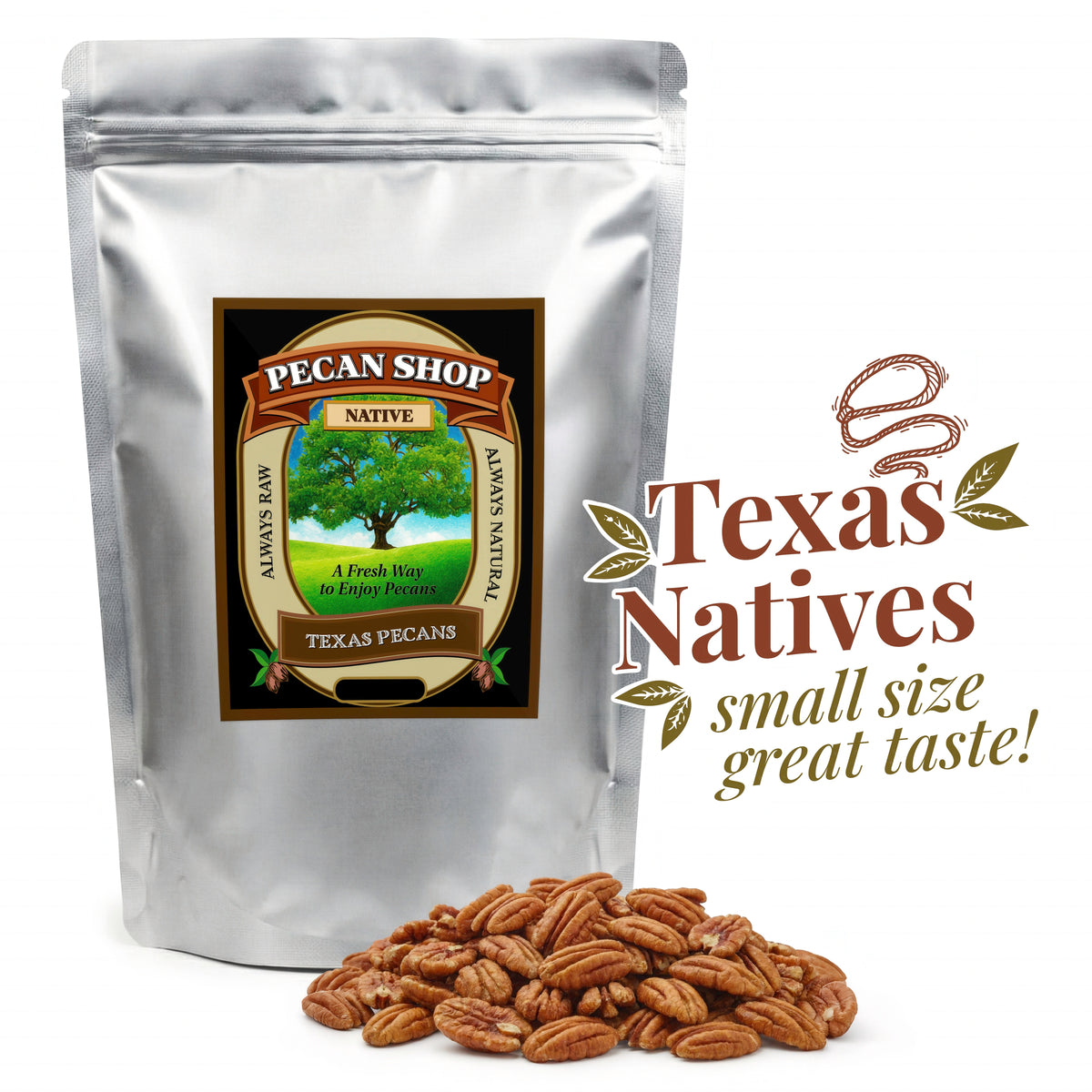 Sprouted Texas Native Pecans – Light Sea Salt (Family Recipe)